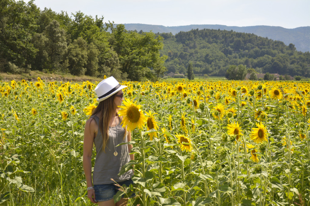 girasoli8